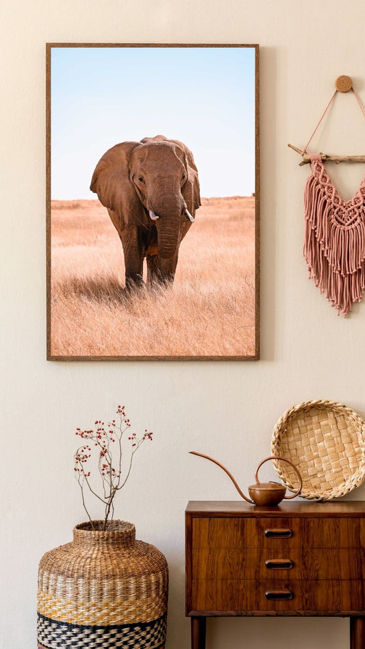 Where the Earth Remembers