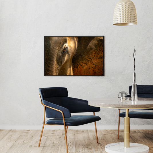 The One Who Never Forgets