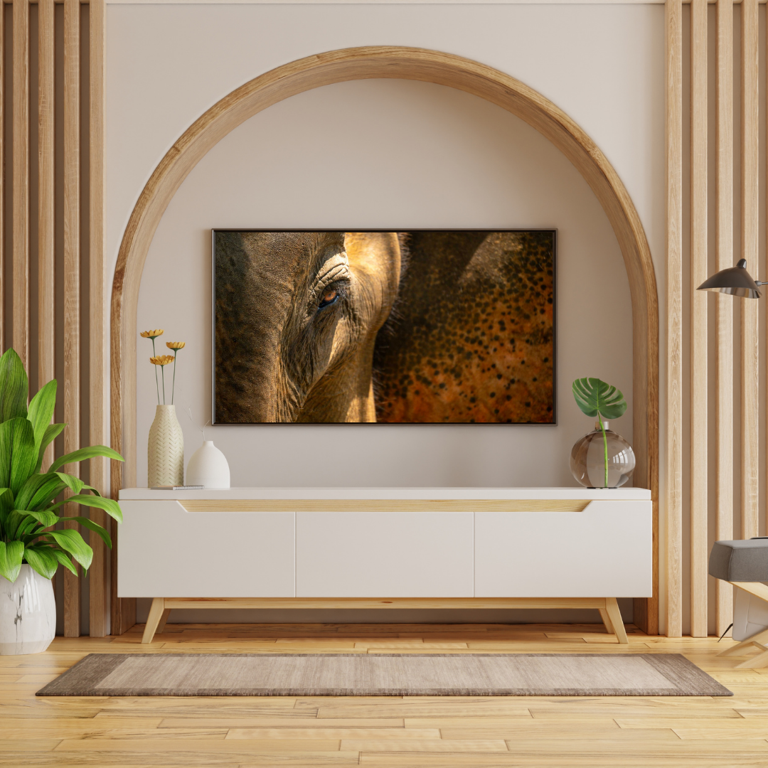 The One Who Never Forgets