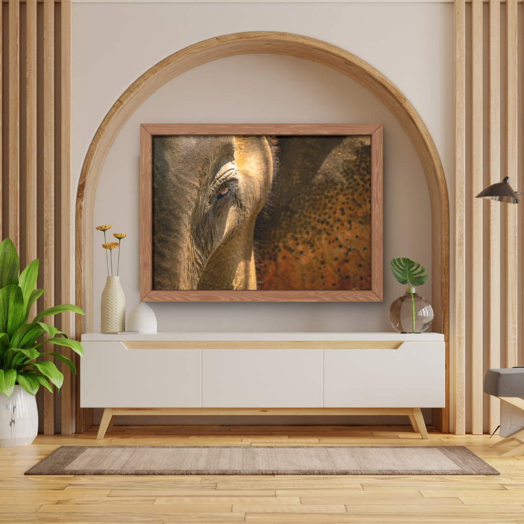 The One Who Never Forgets