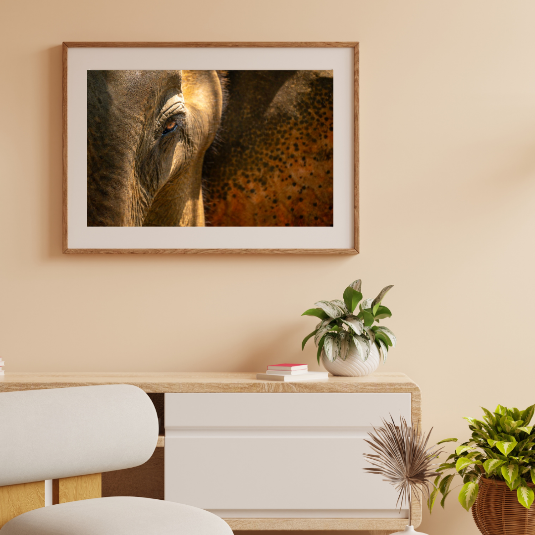 The One Who Never Forgets